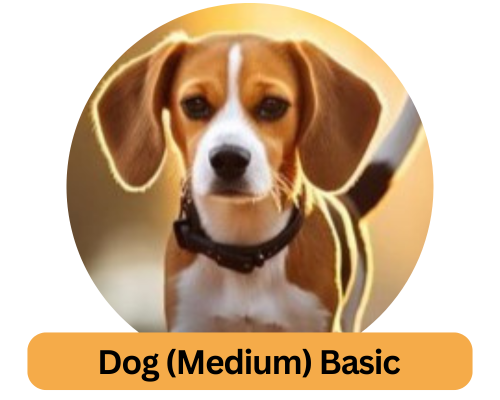 Dog (Medium) Basic