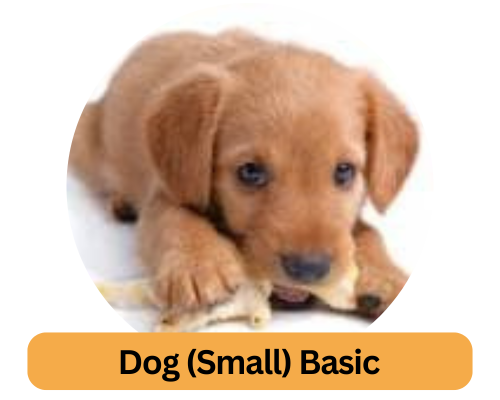 Dog Small Basic