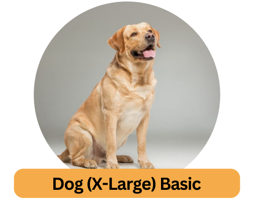 Dog (X-Large) Basic