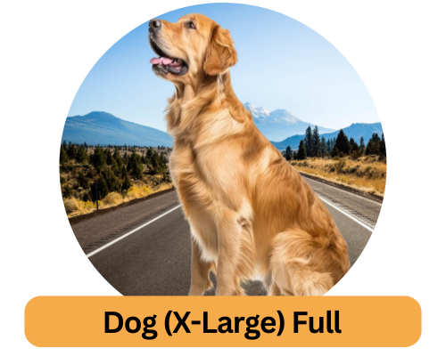 Dog-X-Large-Full