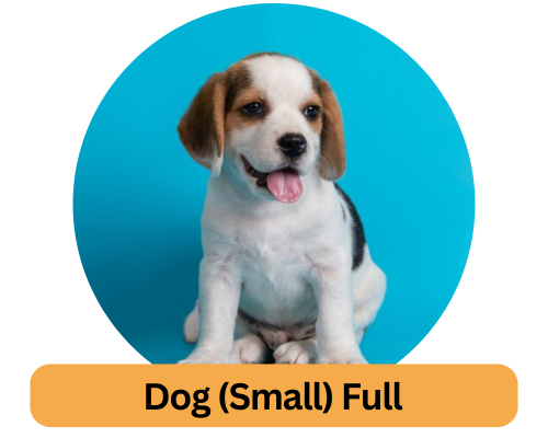 Dog (small) full