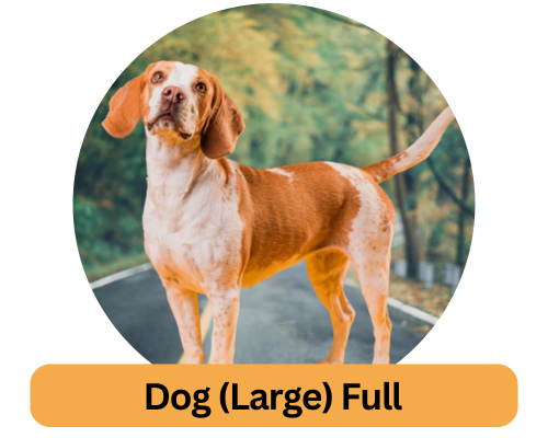 Dog Large Full