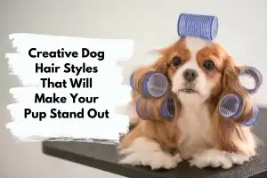 dog hair styles