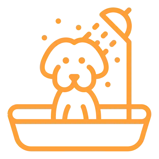 Dog Bathing Services In Abu Dhabi
