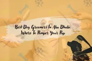 dog groomers in abu dhabi