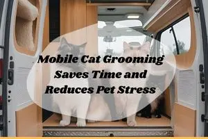 Mobile Cat Grooming