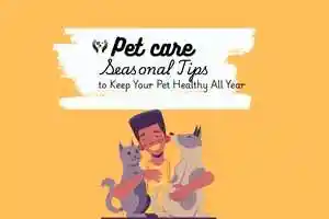 pet care abu dhabi