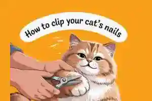 clip cat nails