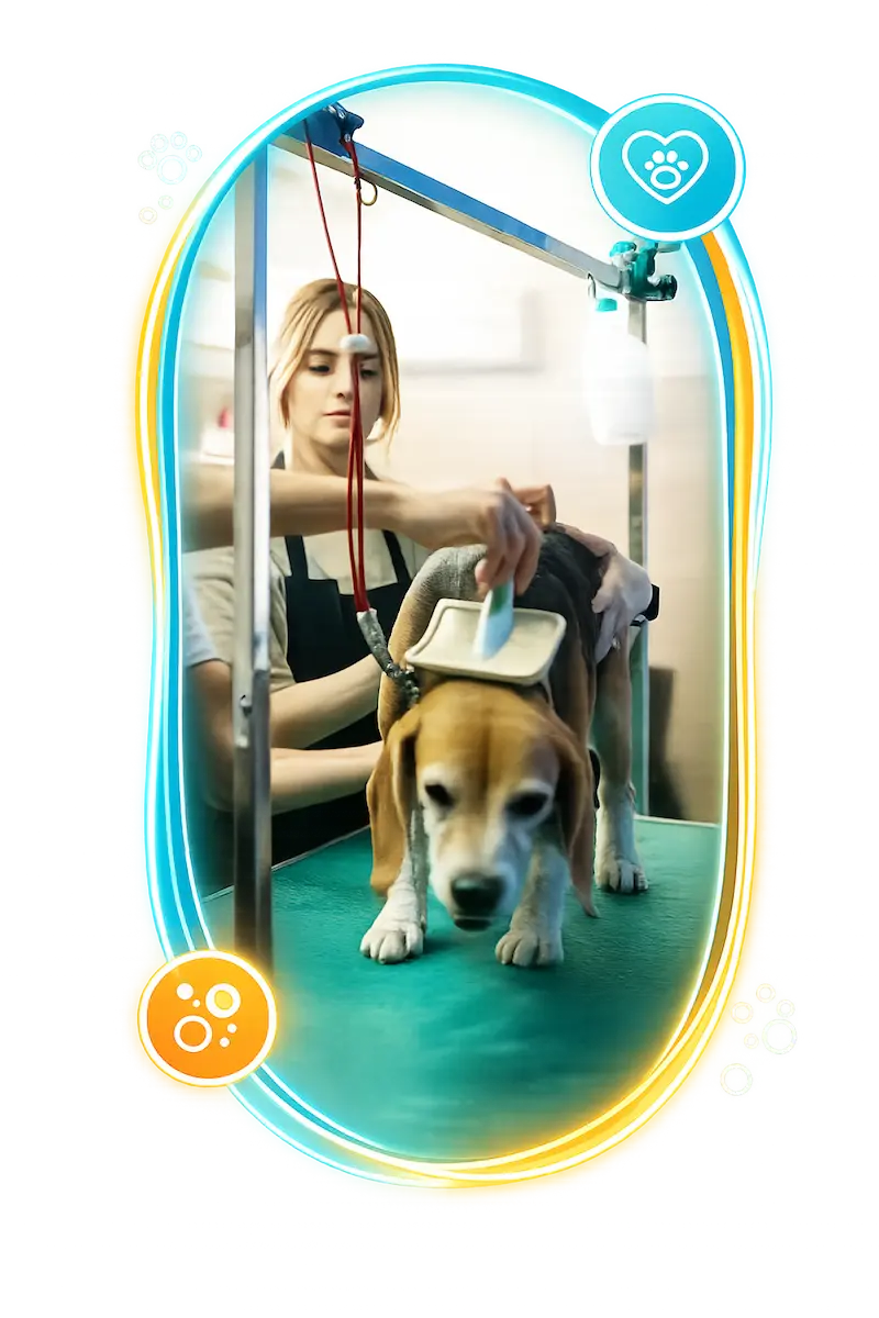 Dog Grooming Services in Abu Dhabi