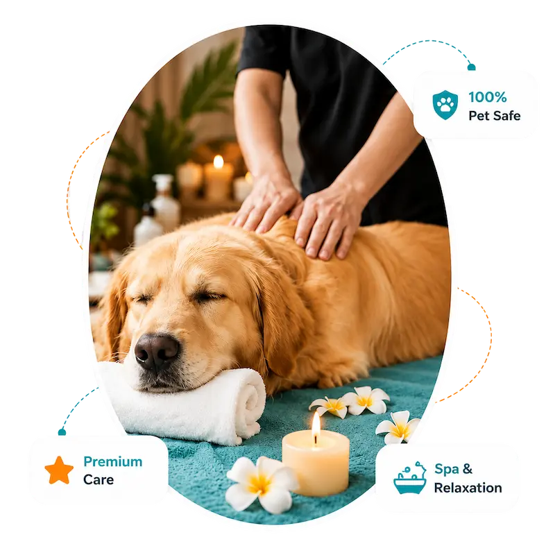 Dog Grooming in Abu Dhabi