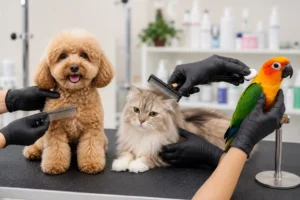 pet grooming packages